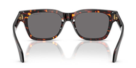 Versace VE4486 550981 52 Polarize Unisex Güneş Gözlüğü