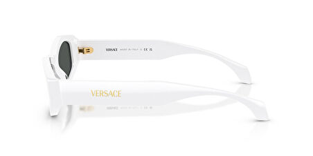 Versace VE4487 314/87 54 Kadın Güneş Gözlüğü