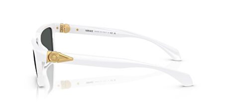 Versace VE4490U 314/87 55 Erkek Güneş Gözlüğü
