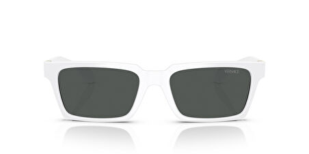 Versace VE4490U 314/87 55 Erkek Güneş Gözlüğü
