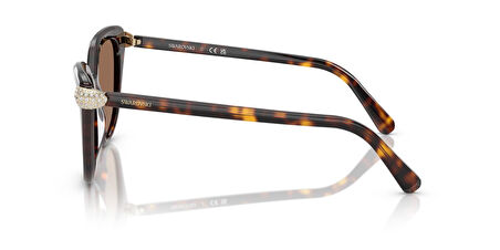 Swarovski SK6039 100273 56 Kadın Güneş Gözlüğü