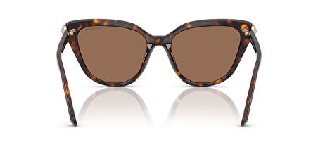 Swarovski SK6039 100273 56 Kadın Güneş Gözlüğü