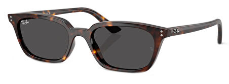 Ray-Ban RB4456 135987 50 Unisex Güneş Gözlüğü