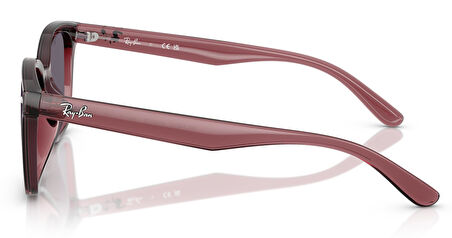 Ray-Ban RB4461D 659373 64 Unisex Güneş Gözlüğü