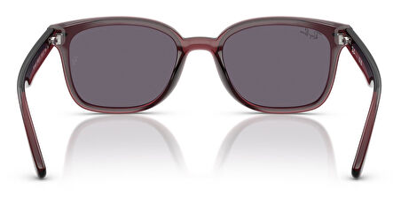 Ray-Ban RB4461D 659373 64 Unisex Güneş Gözlüğü