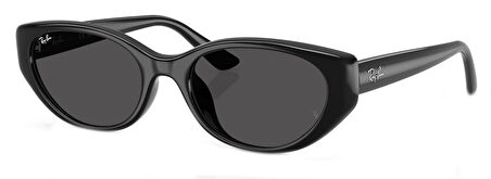 Ray-Ban RB4457D 667787 55 Unisex Güneş Gözlüğü
