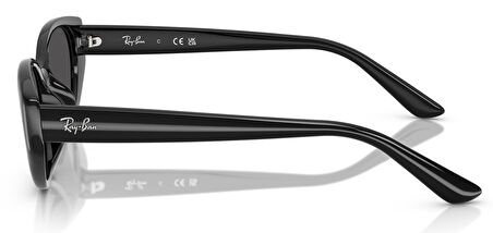 Ray-Ban RB4457D 667787 55 Unisex Güneş Gözlüğü