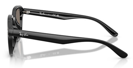 Ray-Ban RB4458D 601/6V 65 Unisex Güneş Gözlüğü