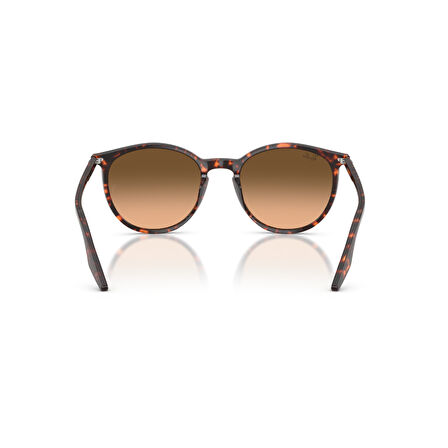 RB 2204 14293B 54 Ray-Ban Güneş Gözlüğü