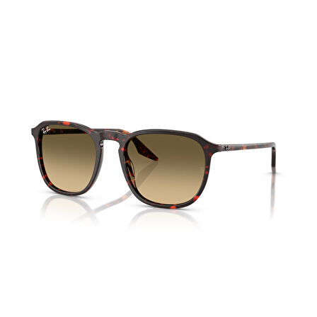 RB 2203 14290A 55 Ray-Ban Güneş Gözlüğü