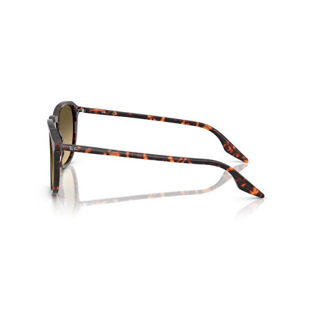 RB 2203 14290A 55 Ray-Ban Güneş Gözlüğü