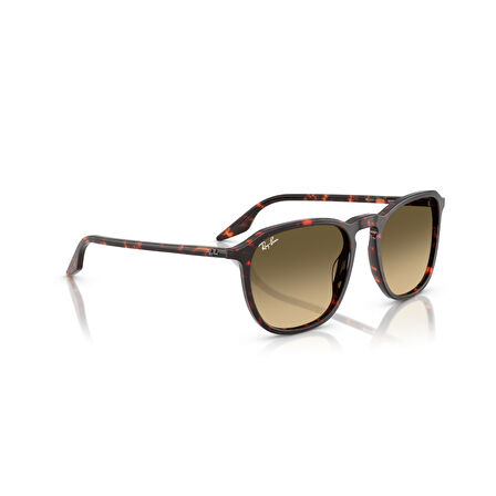 RB 2203 14290A 55 Ray-Ban Güneş Gözlüğü