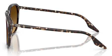 Ray-Ban RB2203 1431/85 52 Unisex Güneş Gözlüğü