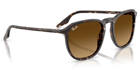 Ray-Ban RB2203 1431/85 52 Unisex Güneş Gözlüğü
