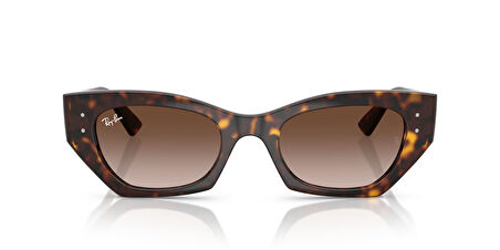 RAY-BAN GÜNEŞ RB4430 135913 52