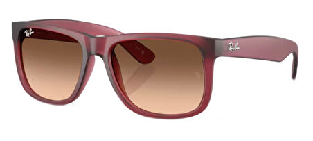 Ray-Ban RB4165 6815A5 55 Erkek Güneş Gözlüğü