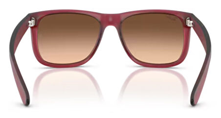 Ray-Ban RB4165 6815A5 55 Erkek Güneş Gözlüğü