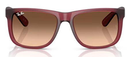 Ray-Ban RB4165 6815A5 55 Erkek Güneş Gözlüğü