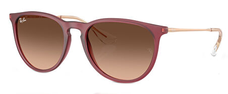 Ray-Ban RB4171 6815A5 54 Kadın Güneş Gözlüğü