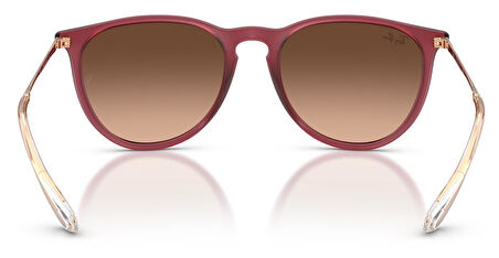 Ray-Ban RB4171 6815A5 54 Kadın Güneş Gözlüğü