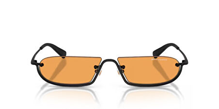 ARMANI EXCHANGE  2058S 6000/7 58-14  Güneş Gözlüğü