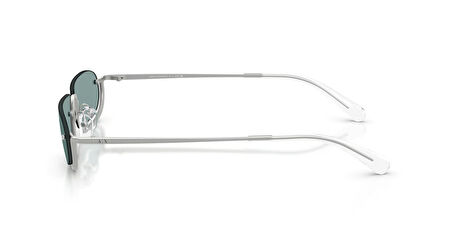 ARMANI EXCHANGE  2058S 60209C 58-14  Güneş Gözlüğü