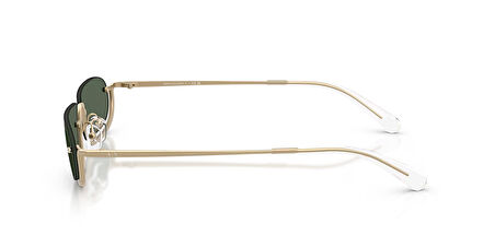 ARMANI EXCHANGE  2058S 612171 58-14  Güneş Gözlüğü