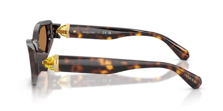 Swarovski SK6045U 100273 55 Kadın Güneş Gözlüğü