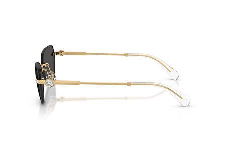 Swarovskı  7038 400487 58-16  Güneş Gözlüğü