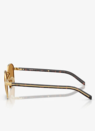 Prada Kahve Erkek Güneş Gözlüğü 0PR C50S515AK50P