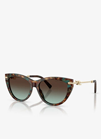 Tiffany Altın Kadın Güneş Gözlüğü 0TF42535584425D