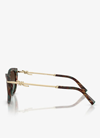 Tiffany Altın Kadın Güneş Gözlüğü 0TF42535584425D