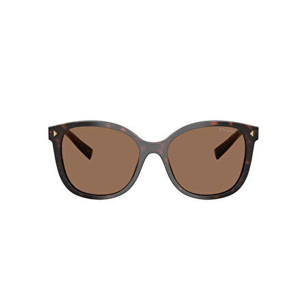 PR 22ZS 17N06B 53 Persol Güneş Gözlüğü