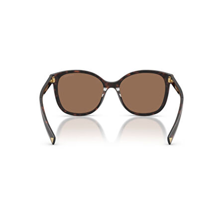 PR 22ZS 17N06B 53 Persol Güneş Gözlüğü