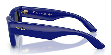 Ray-Ban RB4940 683387 47 A$AP ROCKY Unisex Güneş Gözlüğü