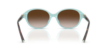 Tiffany & Co. Tf4263D 81343B 54 Kadin Güneş Gözlüğü