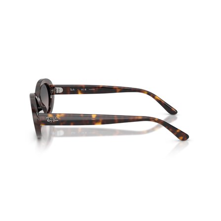 RB 2223 902/M3 54 Ray-Ban Polarize Güneş Gözlüğü