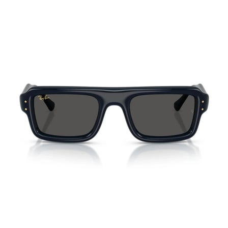 Ray-Ban RB 4954 689587 52 Flacko Puffer Güneş Gözlüğü