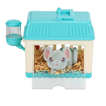 Little Live Pets Anne ve Yavruları Mini Fare