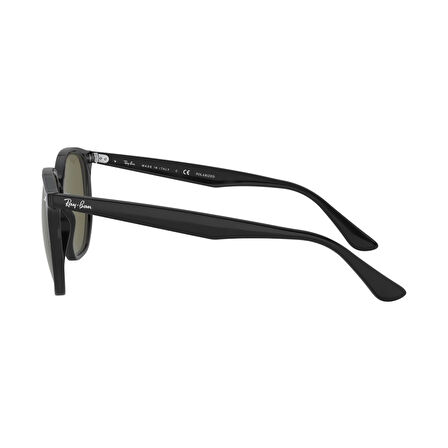 Ray-Ban RB 4306 643175 54 Unisex Geometrik Polorize Füme Kemik Güneş Gözlüğü