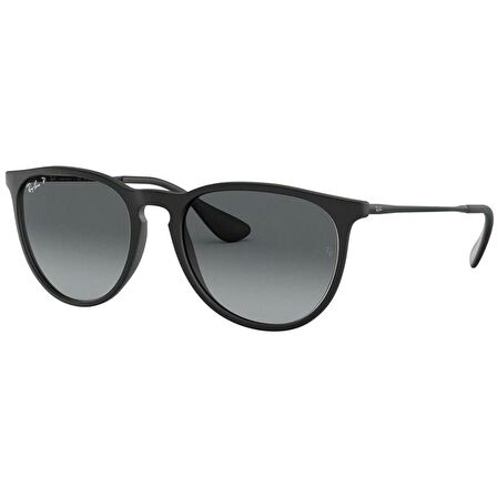 Ray-Ban RB4171 622/T3 54 Polarize Unisex Güneş Gözlüğü