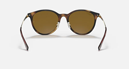 RB4334D 710/83 55-19 Ray-Ban Unisex Güneş Gözlükleri