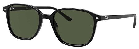 RAY-BAN 0RB2193 901/31 53 Ekartman Erkek Güneş Göz