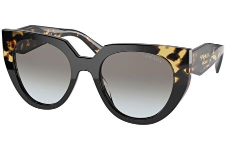 Prada Güneş Gözlüğü SPR14W 389-0A7