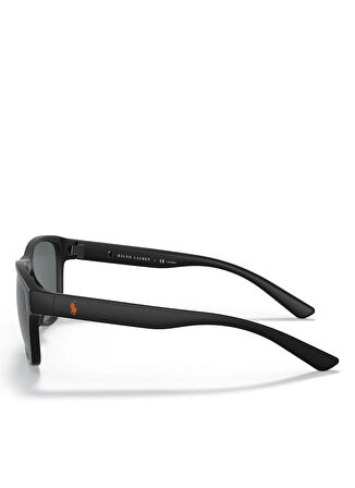 Polo Ralph Lauren Unisex Güneş Gözlüğü 0PH4180U56537581