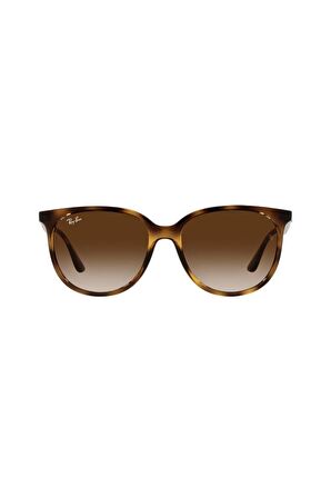 Ray-Ban RB4378 710/13 54 Kadın Güneş Gözlüğü