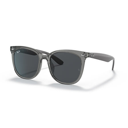 RB 4379D 659987 55 Ray-Ban Güneş Gözlüğü