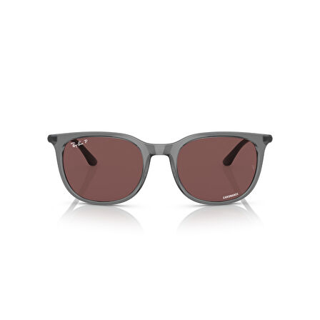 RB 4386 6650AF 54 Ray-Ban Polarize Güneş Gözlüğü