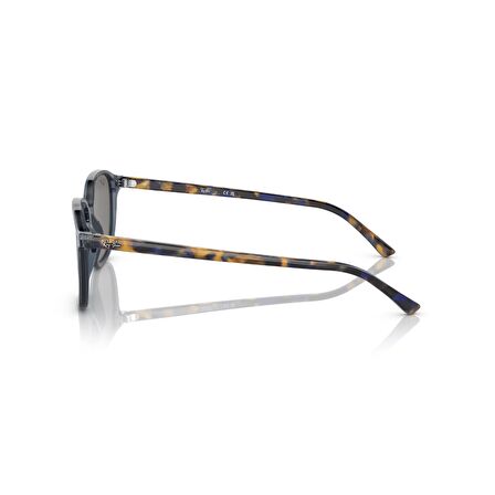 Ray-Ban Leonard Güneş Gözlüğü RB 2193 6638O4 53