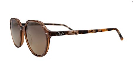 RAY-BAN  2195 6636/93 51 THALIA Unisex KAHVE Geometrik Çerçeve Güneş Gözlüğü